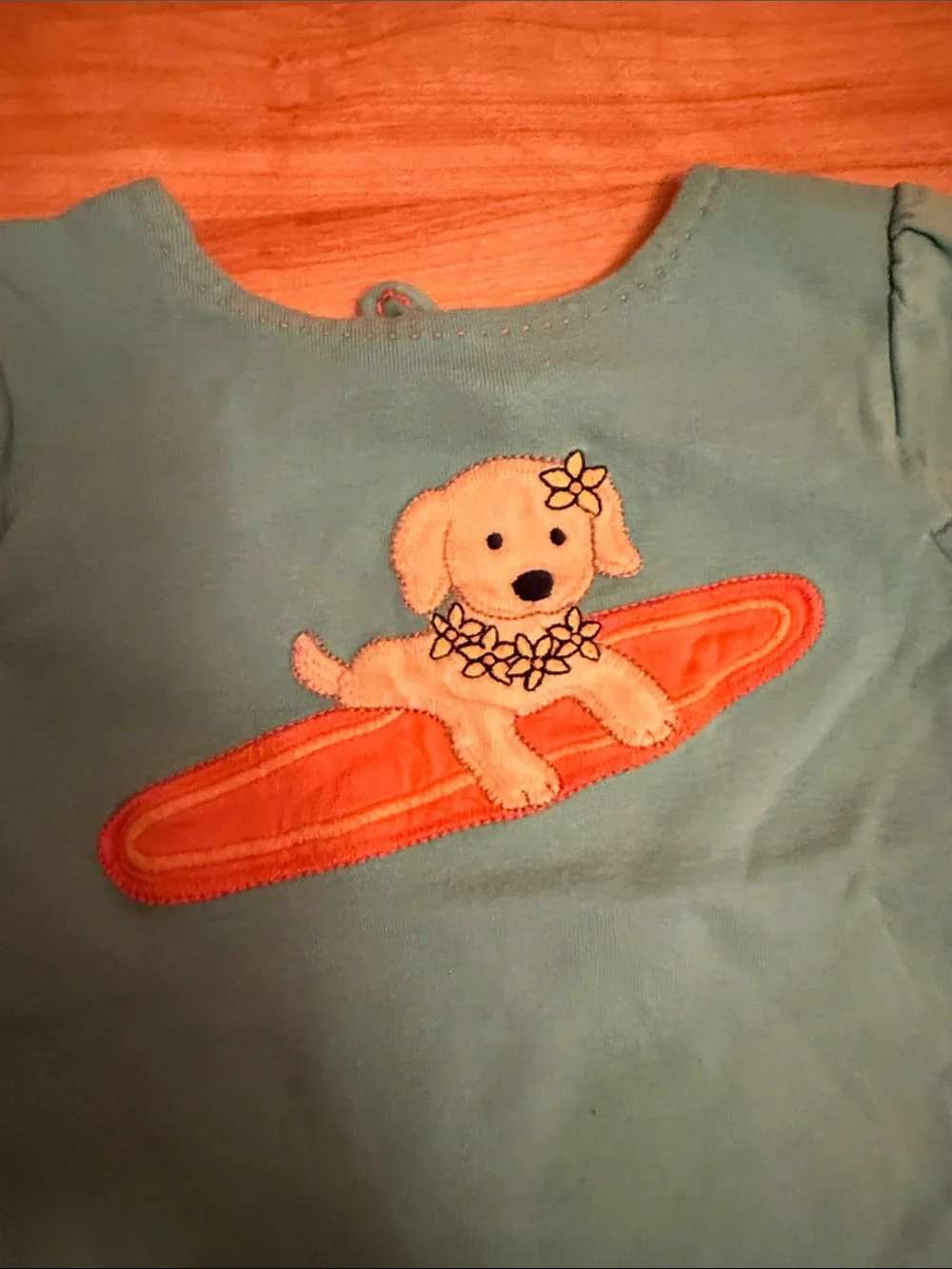 Gymboree Girls Teal and Orange Summer Matching Sets